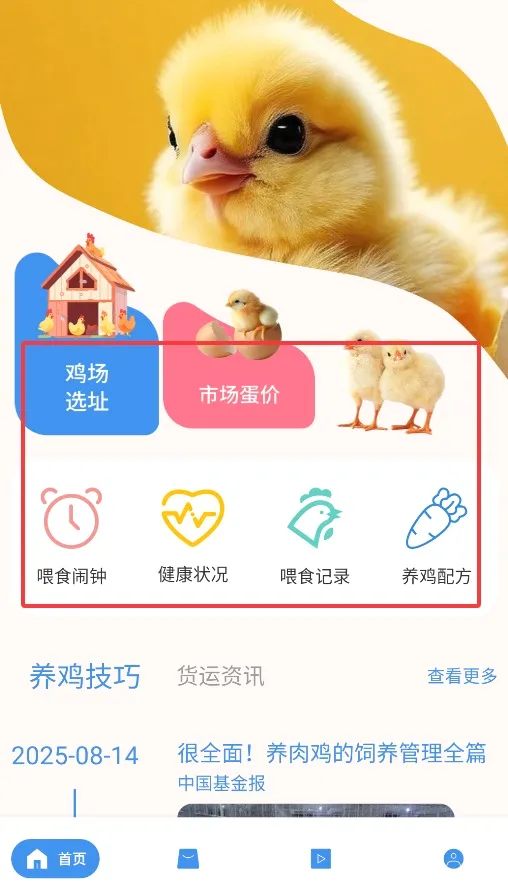 �����������ֻ���