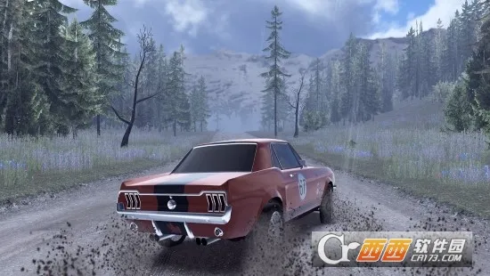 CarX Rally��׿���ֻ���