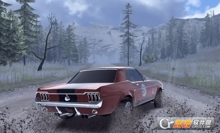 CarX Rally��׿���ֻ���v29205 ��Ѱ��ͼ