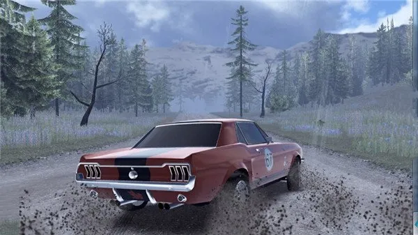 CarX Rally��׿���ֻ���