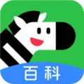 �����ٿ�(�ٶ��ٿ�ѧϰ)v2.30.0 �ֻ���