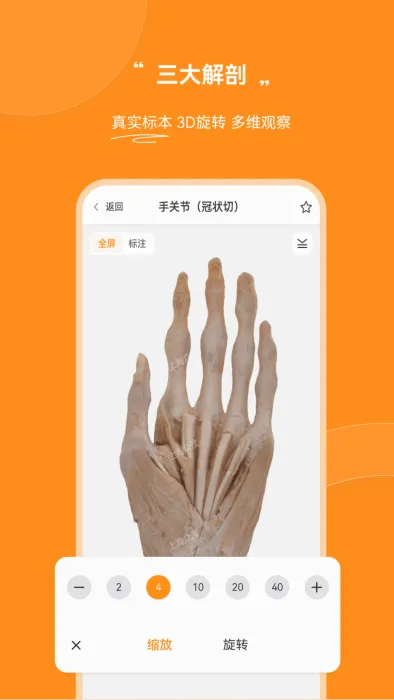 ֥ʿҽ��2026���°汾v3.0.30 �ֻ����ͼ
