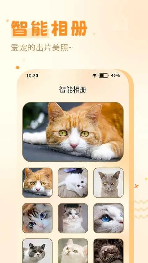 ����è��(è�ﻥ������)v1.0.0 ��Ѱ��ͼ