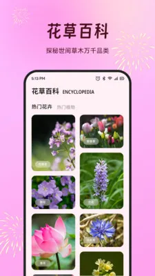���׻��������ֻ���v1.1 �ֻ����ͼ