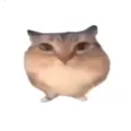 �ͰͲ�һ���谲׿���ֻ���v1.0 �ֻ���