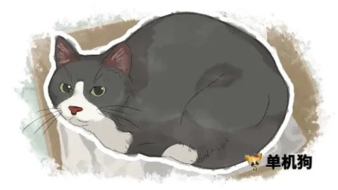 ���װ�����2026���°汾