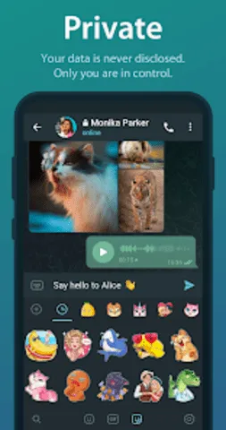 telegreat���Ĺٷ���v12.0.1 ��Ѱ��ͼ
