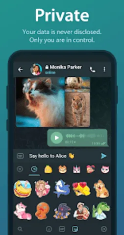 telegreat��������v12.0.1 ��Ѱ��ͼ