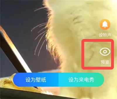 ͸��������2026���°汾