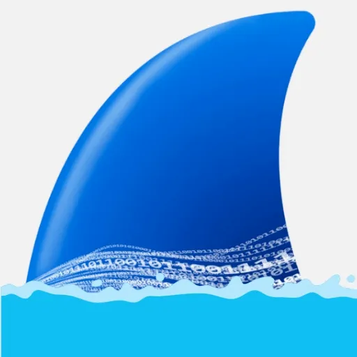 WireShark(����ץ������)v1.2.1 �ٷ�����