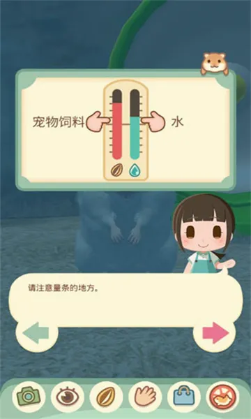 �ҵĲ���(����������Ϸ)