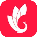 �۷���������ֻ���v3.6.1 �ֻ���