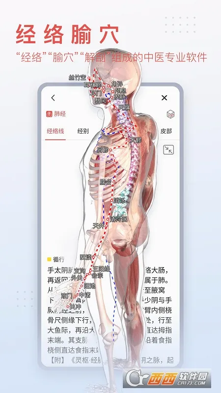 3dbody��������v8.9.21 ��׿���ͼ