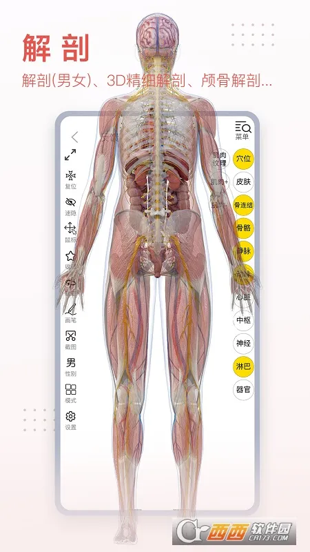 3dbody��������v8.9.21 ��׿���ͼ