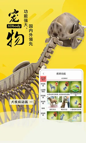 3dbody��������