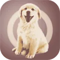 �˹�������2026�ٷ����°汾v5.0.1.2022042039 �ٷ�����