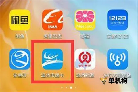��������(���񿨷�������)