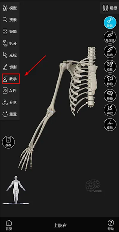 ���ʴ�ʦ��׿���ֻ���