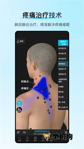���ʴ�ʦ��׿���ֻ���
