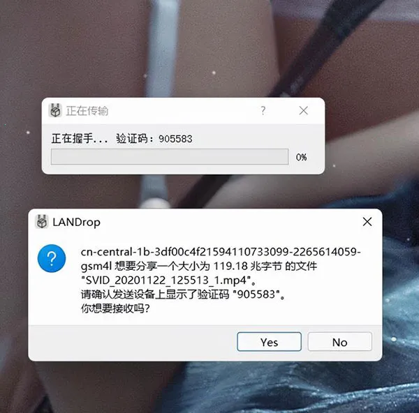 LANDrop(局域网文件传输) LANDrop(局域网文件传输)
