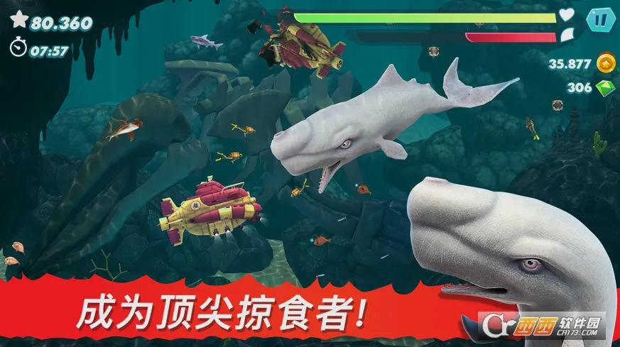 �����裺����2026���°汾v9.16.70.0 ��Ѱ��ͼ