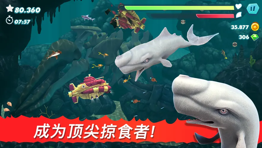 �����裺����2026���°汾v9.16.70.0 ��Ѱ��ͼ