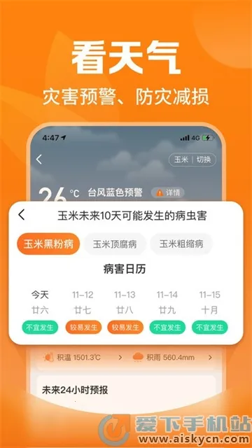 ƽ����ũ��2026�ٷ����°汾