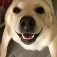�󹷽���Ϸ������ư������ֻ���v1.1 ��Ѱ�