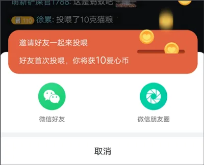 街猫2026官方最新版本 街猫2026官方最新版本