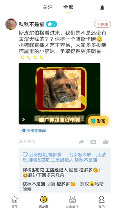 街猫2026官方最新版本 街猫2026官方最新版本