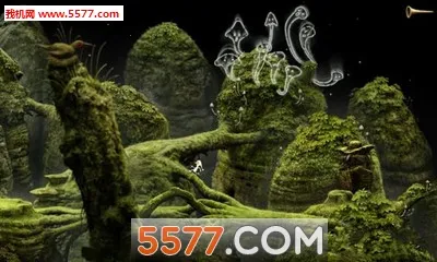 �������ռ�3(ð�ս�����Ϸ)v8.5.4.0 ��Ѱ��ͼ