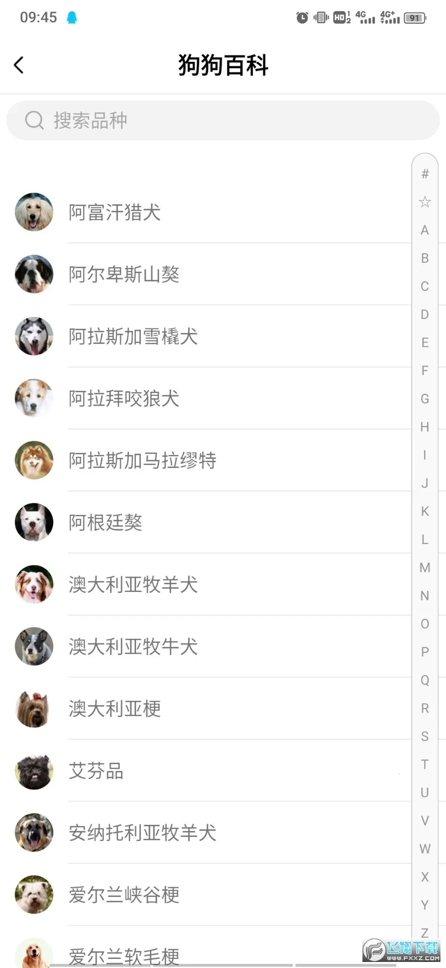 ���﷭����(�˹���������)v1.5.2 ��Ѱ��ͼ
