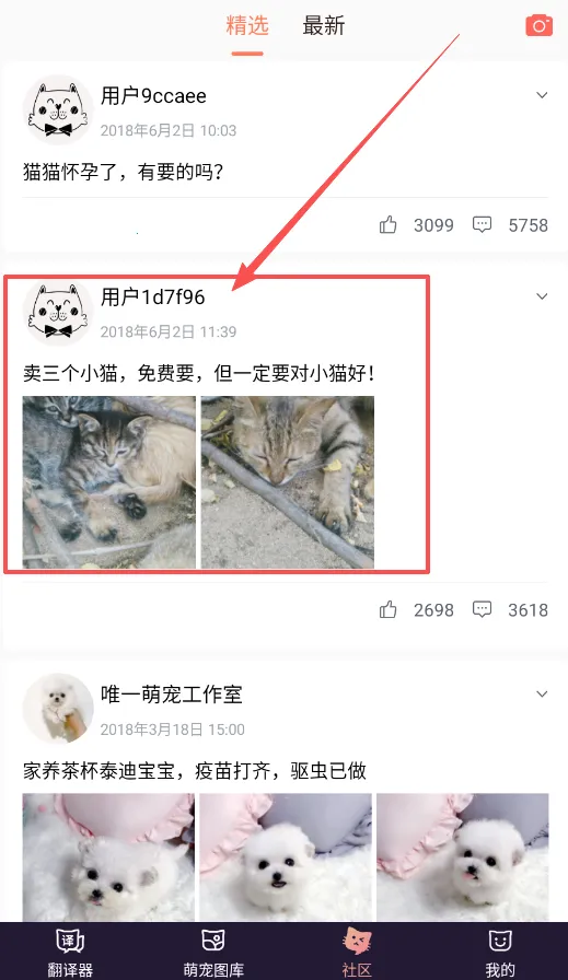 è�﷭����(���ｻ��������)